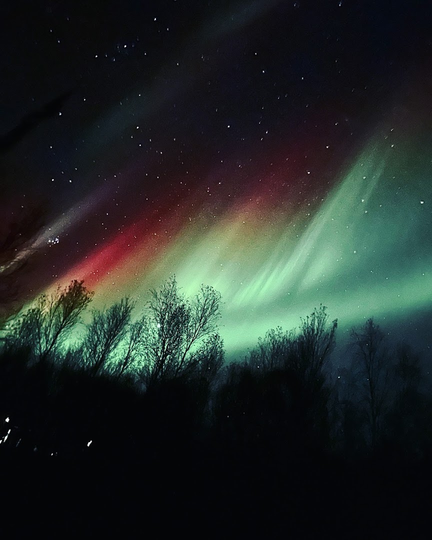 The Midnight Sun Cabin Grov · Bilder 3
